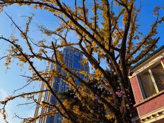 -中山路壹号传奇club·啤酒花园餐厅