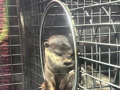 -成都浩海立方海洋公园