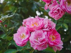 -人民公园(罗湖区)