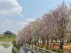 -海珠湖公园