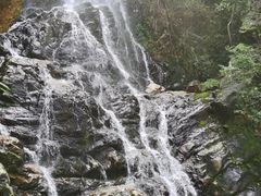 -江西阳明山国家森林公园