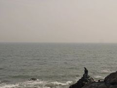 -海云台海滩