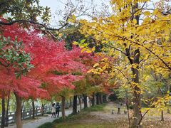 -南通博物苑-崇川人民公园