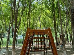 -大兴滨河森林公园