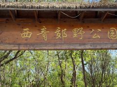 -西青郊野公园