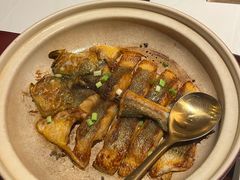 -炳胜公馆(珠江新城店)