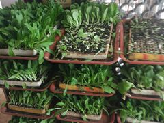 -宣威山野人家·云南菜·菌火锅(金碧店)