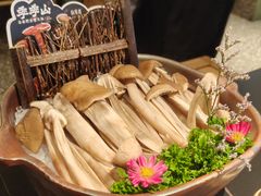 -季季山·云南野生菌火锅(上海首店)