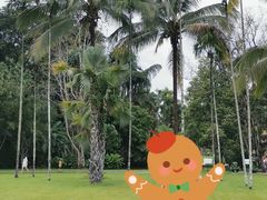 -中国科学院西双版纳热带植物园