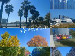 -金沙湖公园