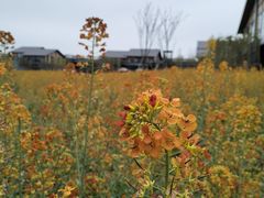 -中国天府农业博览园