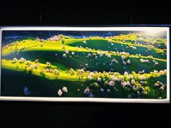 -罗红摄影艺术馆