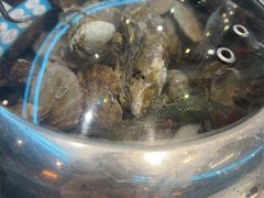 -大锅强·蒸海鲜青岛菜(吾悦广场店)