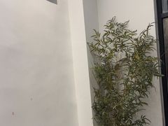 -耳艺采耳·足疗(市桥店)