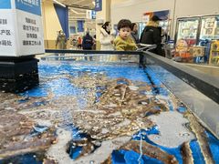 -盒马X会员店(王府井奥莱UP TOWN店)