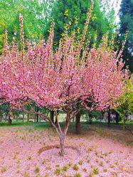 -大望京儿童游乐场