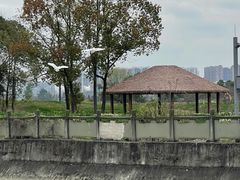 -蜀绣公园