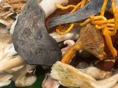 -野菌园·野生菌火锅首创第一家(关兴路总店)