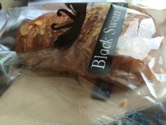 iphone_upload_pic-BLACKSWAN黑天鹅(环球店)