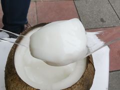 椰子冻-椰爺爺·椰子冻砵仔糕