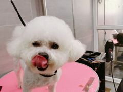 -宠福鑫康馨动物医院·骨科·眼科