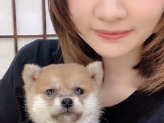 -逗柴咖啡屋·狗咖猫咖宠物桌游