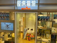 -屋虎猫馆(宝安大仟里店)