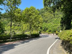 -火炉山森林公园