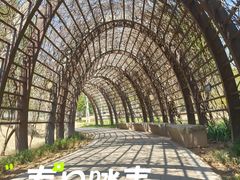 -金鸡山公园