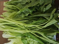 -肥婆麻辣火锅.顺德首创药材麻辣火锅(容桂店)