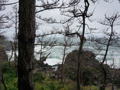 -龙头岩(Dragon Head Rock)