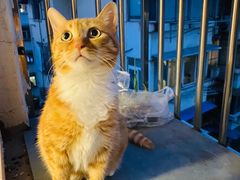 -85度C(南京龙江店)