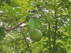 -梁鸿国家湿地公园