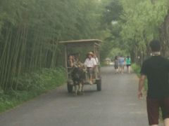 -杭州双溪漂流景区