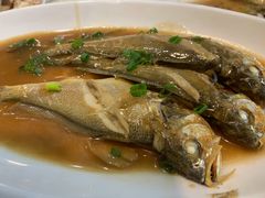 小黄鱼-温岭人家(红花北路店)