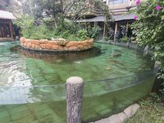 -忆江南·临江鱼馆