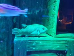 -沈阳海洋探索中心