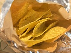 -油梨树 AVOCADO TREE(亮马桥店)