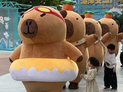 -海合安成都极地海洋公园