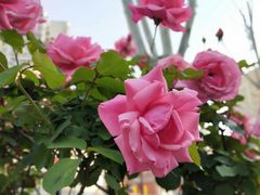 -吉庆街美食广场