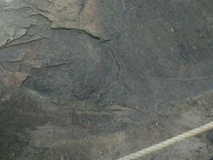 -中国第四纪冰川遗迹陈列馆