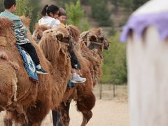 -鄂尔多斯野生动物园