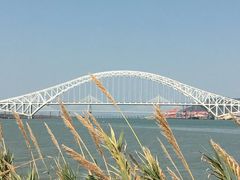 -芒洲湿地公园