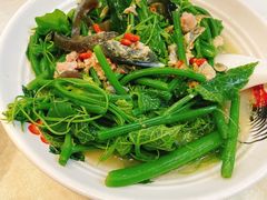 -陈记粤湛鸡饭店