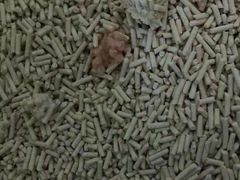 -萌兽医馆·宠物医院·猫骨科(创景店)