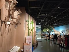 -陕西自然博物馆