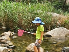 -碓臼峪自然风景区