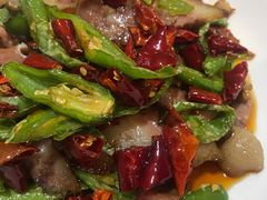 尖椒炒拱嘴儿-蒲氏烤鸭(百寿路店)