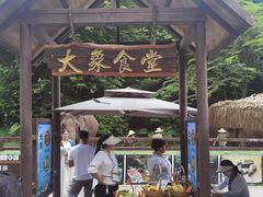-野象谷景区
