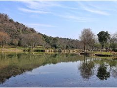 -绍兴镜湖国家城市湿地公园